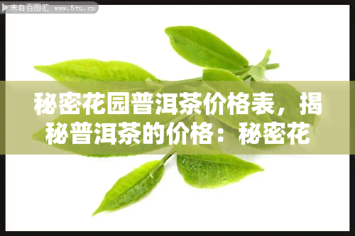 秘密花园普洱茶价格表，揭秘普洱茶的价格：秘密花园系列的售价一览