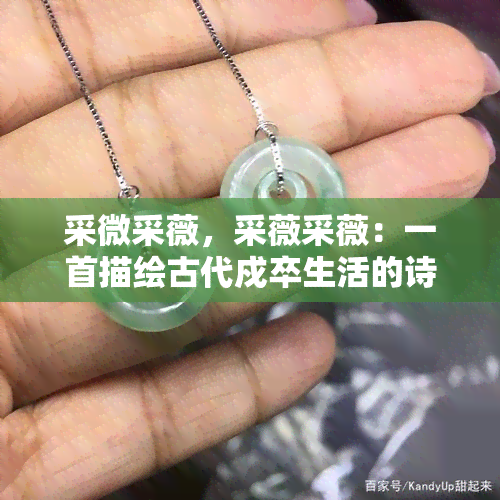 采微采薇，采薇采薇：一首描绘古代戍卒生活的诗歌