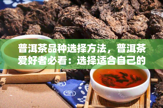 普洱茶品种选择方法，普洱茶爱好者必看：选择适合自己的普洱茶品种的方法