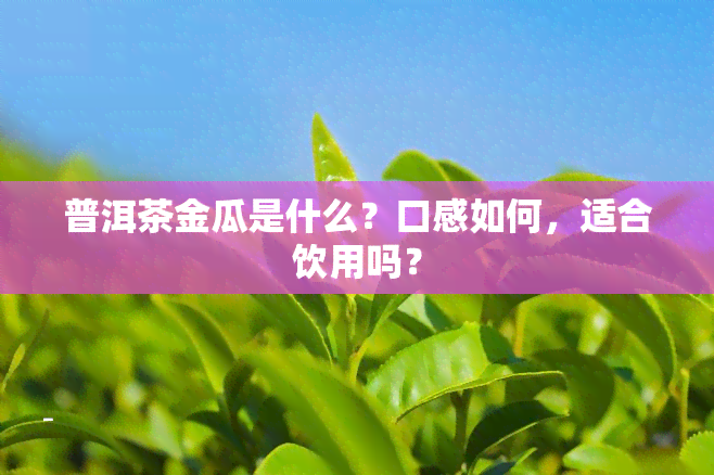 普洱茶金瓜是什么？口感如何，适合饮用吗？