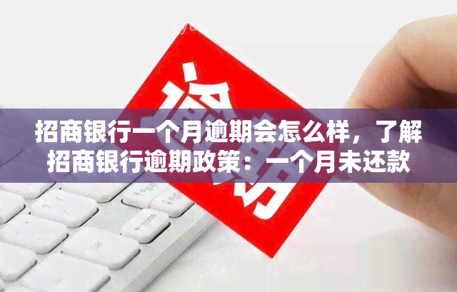 招商银行一个月逾期会怎么样，了解招商银行逾期政策：一个月未还款的后果是什么？