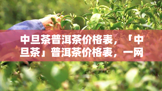 中旦茶普洱茶价格表，「中旦茶」普洱茶价格表，一网打尽！