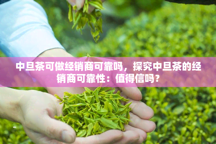 中旦茶可做经销商可靠吗，探究中旦茶的经销商可靠性：值得信吗？
