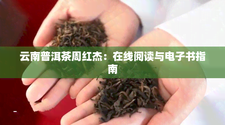 云南普洱茶周红杰：在线阅读与电子书指南