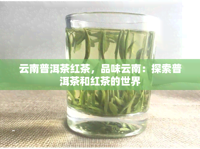 云南普洱茶红茶，品味云南：探索普洱茶和红茶的世界