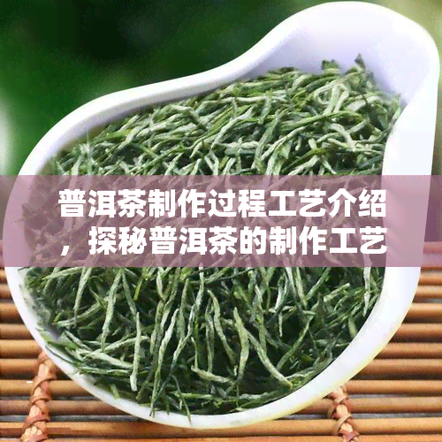 普洱茶制作过程工艺介绍，探秘普洱茶的制作工艺：从采摘到陈化的全过程解析