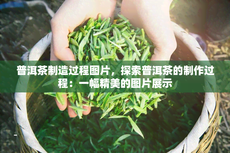 普洱茶制造过程图片，探索普洱茶的制作过程：一幅精美的图片展示