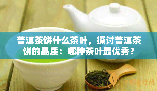 普洱茶饼什么茶叶，探讨普洱茶饼的品质：哪种茶叶更优秀？