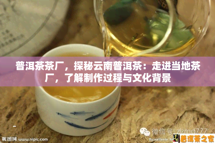 普洱茶茶厂，探秘云南普洱茶：走进当地茶厂，了解制作过程与文化背景