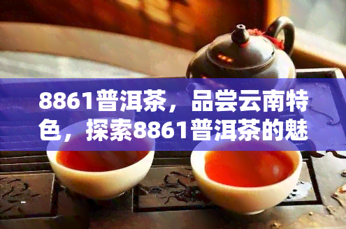 8861普洱茶，品尝云南特色，探索8861普洱茶的魅力