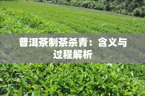 普洱茶制茶杀青：含义与过程解析