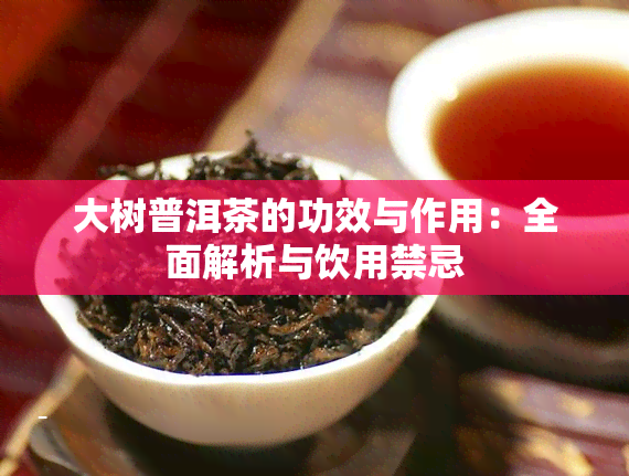 大树普洱茶的功效与作用：全面解析与饮用禁忌