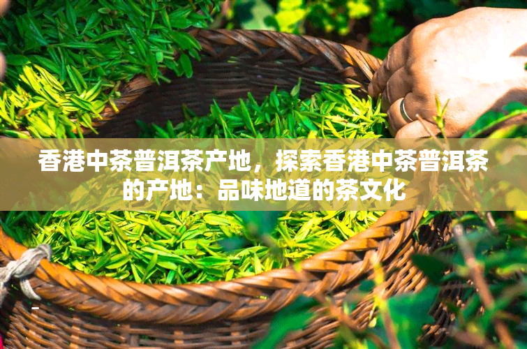 香港中茶普洱茶产地，探索香港中茶普洱茶的产地：品味地道的茶文化