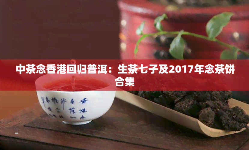 中茶念香港回归普洱：生茶七子及2017年念茶饼合集