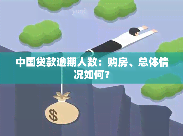 中国贷款逾期人数：购房、总体情况如何？
