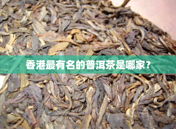 香港最有名的普洱茶是哪家？