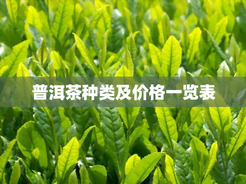 普洱茶种类及价格一览表