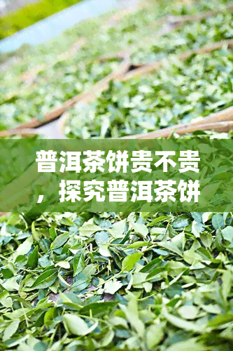 普洱茶饼贵不贵，探究普洱茶饼的价格：贵吗？为什么？