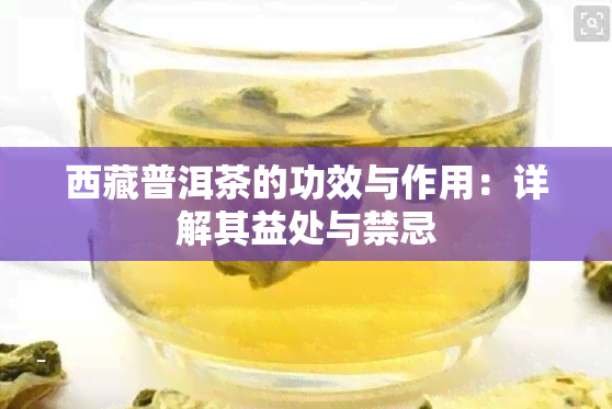  *** 普洱茶的功效与作用：详解其益处与禁忌