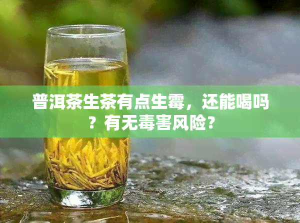 普洱茶生茶有点生霉，还能喝吗？有无毒害风险？