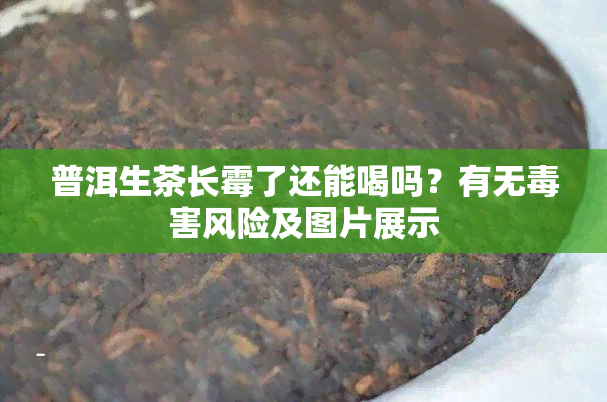 普洱生茶长霉了还能喝吗？有无毒害风险及图片展示