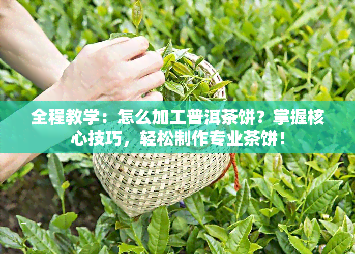 全程教学：怎么加工普洱茶饼？掌握核心技巧，轻松制作专业茶饼！