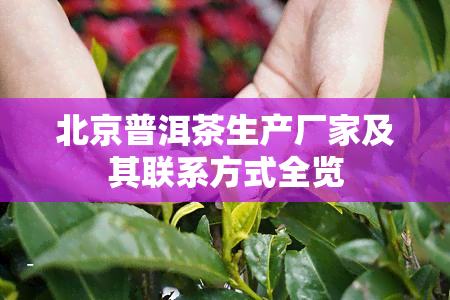 北京普洱茶生产厂家及其联系方式全览