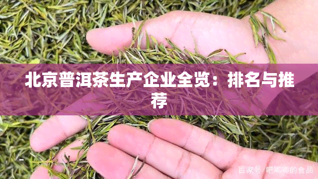 北京普洱茶生产企业全览：排名与推荐
