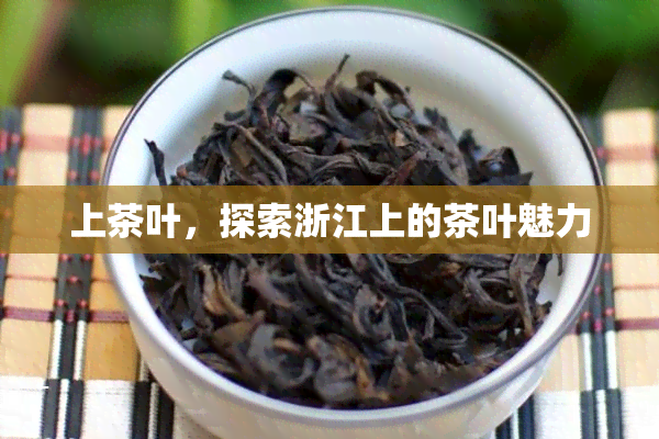 上茶叶，探索浙江上的茶叶魅力
