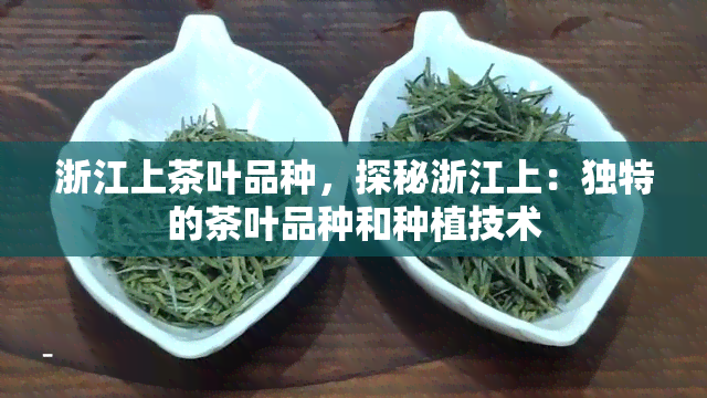 浙江上茶叶品种，探秘浙江上：独特的茶叶品种和种植技术