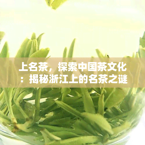 上名茶，探索中国茶文化：揭秘浙江上的名茶之谜
