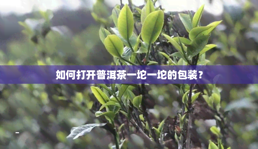 如何打开普洱茶一坨一坨的包装？