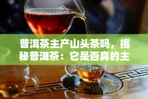 普洱茶主产山头茶吗，揭秘普洱茶：它是否真的主要产自山头？