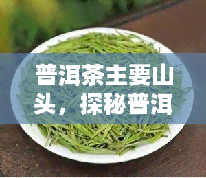 普洱茶主要山头，探秘普洱茶的世界：揭秘主要山头的韵味与特色