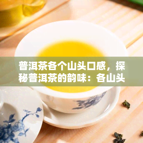 普洱茶各个山头口感，探秘普洱茶的韵味：各山头口感详解