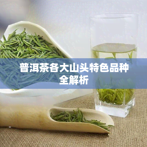 普洱茶各大山头特色品种全解析