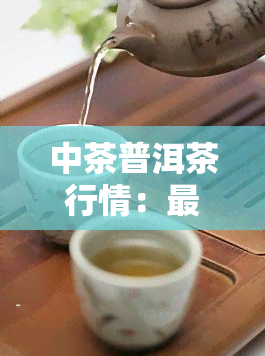 中茶普洱茶行情：最新报价与市场动态全览