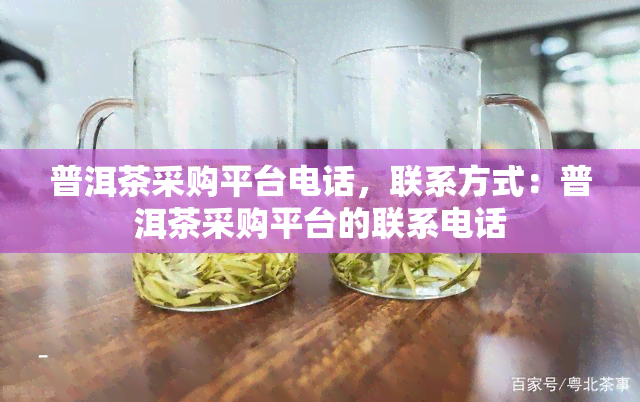 普洱茶采购平台电话，联系方式：普洱茶采购平台的联系电话