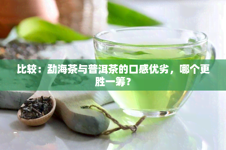 比较：勐海茶与普洱茶的口感优劣，哪个更胜一筹？