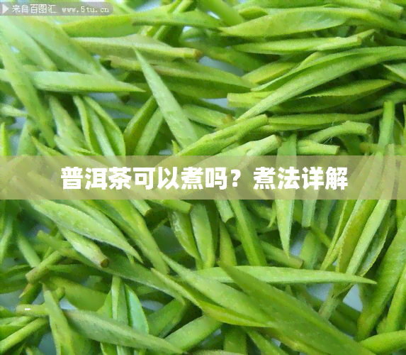 普洱茶可以煮吗？煮法详解