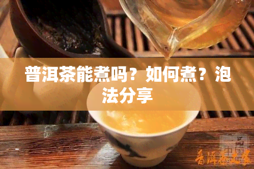 普洱茶能煮吗？如何煮？泡法分享