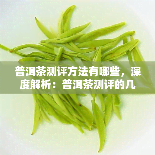 普洱茶测评方法有哪些，深度解析：普洱茶测评的几种常见方法