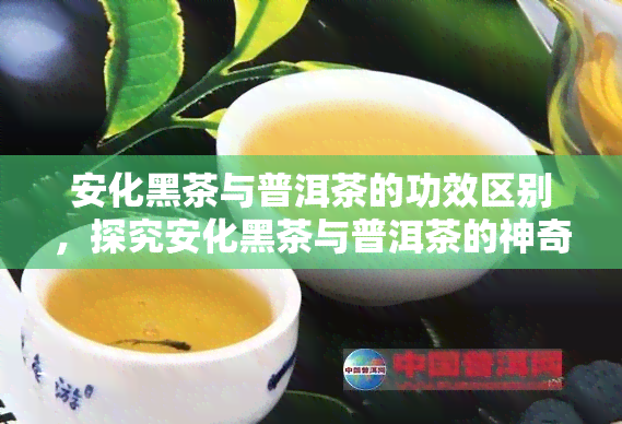 安化黑茶与普洱茶的功效区别，探究安化黑茶与普洱茶的神奇功效异同