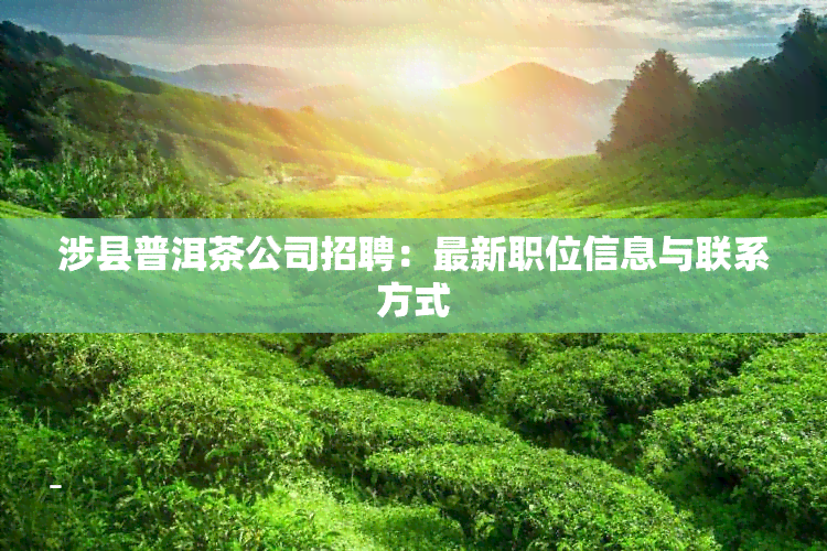 涉县普洱茶公司招聘：最新职位信息与联系方式