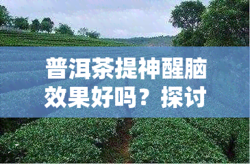 普洱茶提神醒脑效果好吗？探讨其科学依据与实际效果。