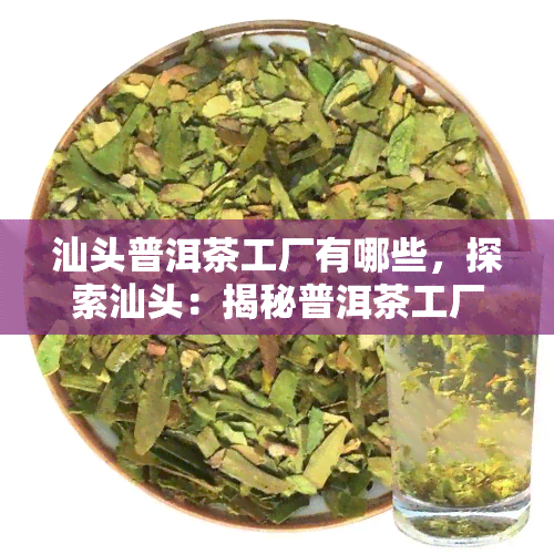 汕头普洱茶工厂有哪些，探索汕头：揭秘普洱茶工厂全攻略