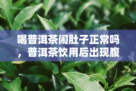 喝普洱茶闹肚子正常吗，普洱茶饮用后出现腹泻是否正常？