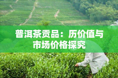 普洱茶贡品：历价值与市场价格探究