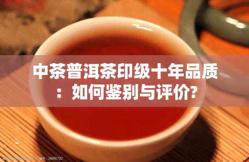 中茶普洱茶印级十年品质：如何鉴别与评价?
