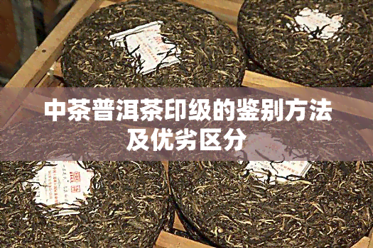 中茶普洱茶印级的鉴别方法及优劣区分